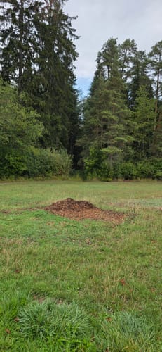 Triberger Wasserfälle