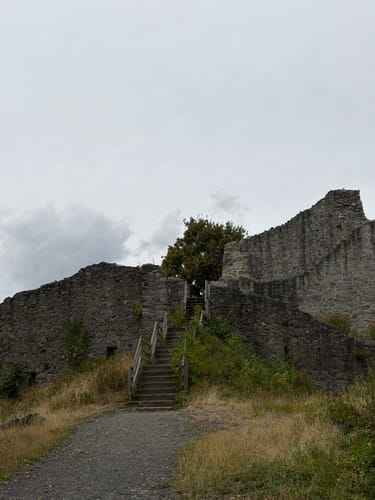 Rhöndorf - Drachenfels - Löwenburg