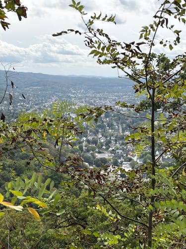 Rhöndorf - Drachenfels - Löwenburg