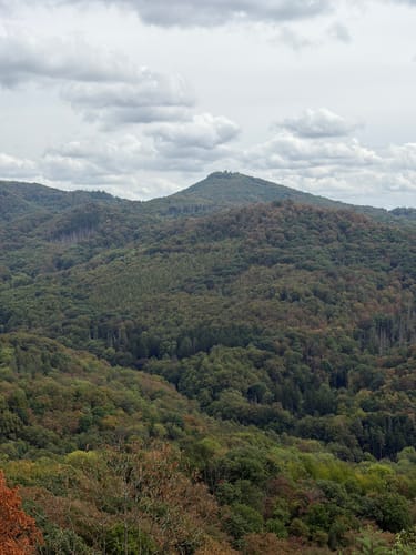 Rhöndorf - Drachenfels - Löwenburg