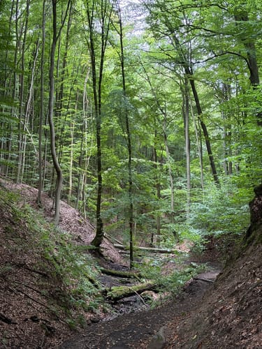 Rhöndorf - Drachenfels - Löwenburg