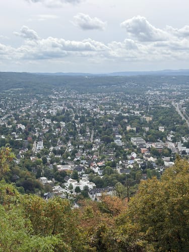 Rhöndorf - Drachenfels - Löwenburg