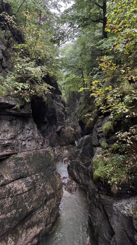 Durch die Starzlachklamm (Südrunde)