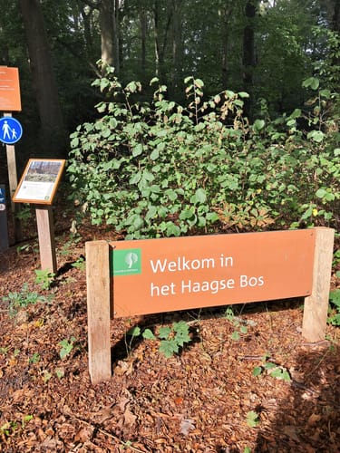 Haagse Bos