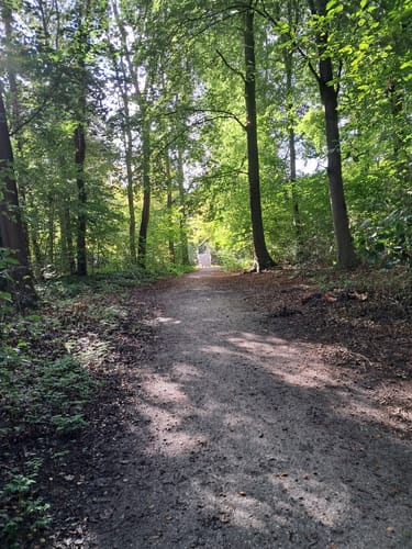 Haagse Bos