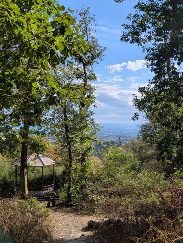 Bürgelplatte und Burgruine Falkenstein ab Kronberg