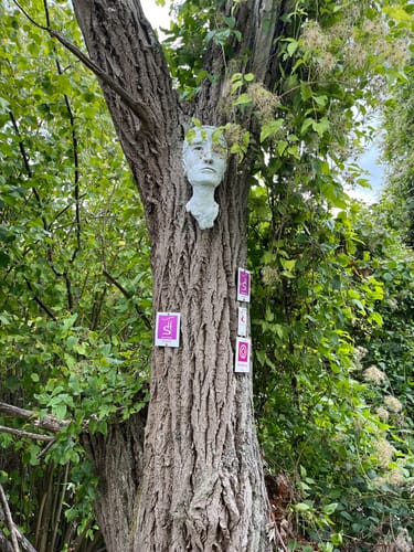 RheinBurgenWeg Etappe 9: Bad Salzig - St. Goar