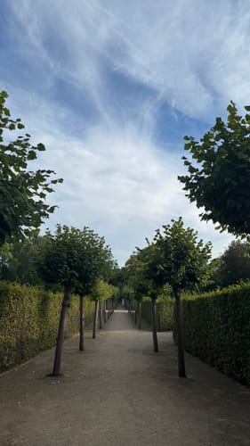 Potsdam Schlosspark Sanssouci