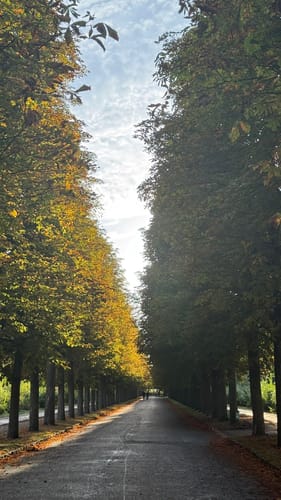 Potsdam Schlosspark Sanssouci