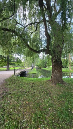 Schwerin Altstadt - Zippendorf