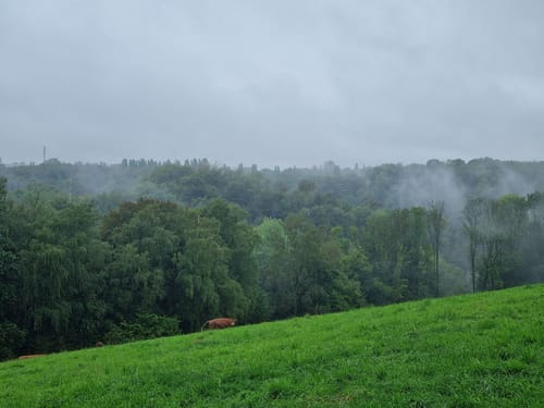 Isenbügel Rundweg A3