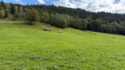 Wanderung durch die Partnachklamm und zurück über Graseck [CLOSED]