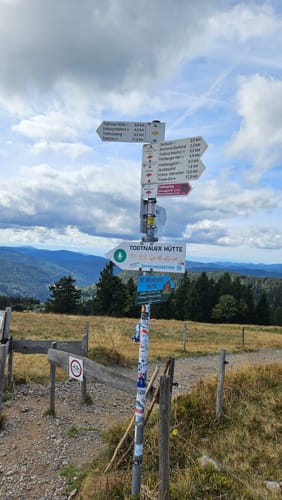 Auf den Feldberg