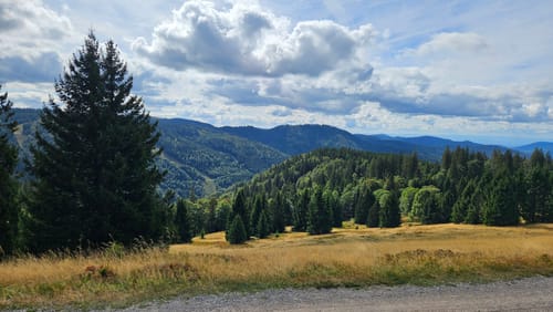 Auf den Feldberg