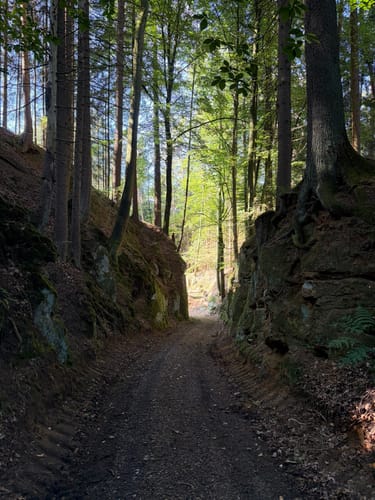 Jurasteig Etappe 10: Deining - Holnstein