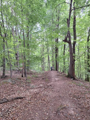 Odielienweg (Traumschleifchen)
