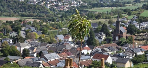 Vom Warsberg nach Ayl