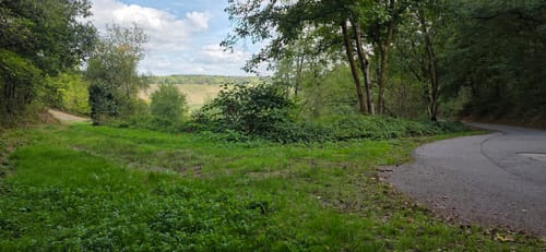 Vom Warsberg nach Ayl
