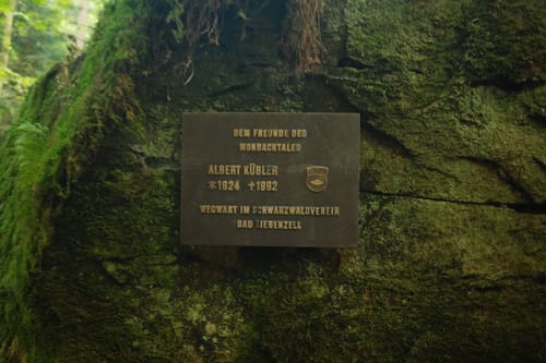 Durch das Wildromantische Monbachtal
