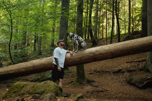 Durch das Wildromantische Monbachtal
