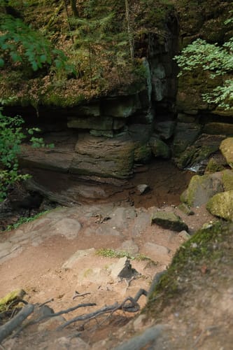 Durch das Wildromantische Monbachtal