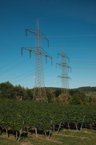 Aussichts- und Weinbergwanderung rund um Aichelberg (RW 11)
