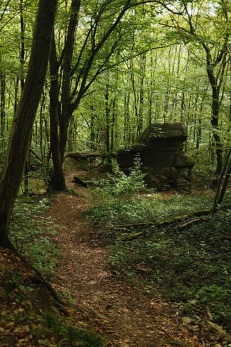 Durch das Föllbachtal in Wolfschlugen