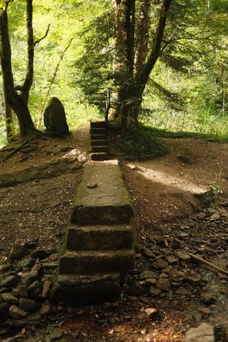 Durch das Wildromantische Monbachtal