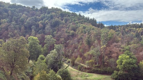 Müden - Burg Eltz Rundwanderung