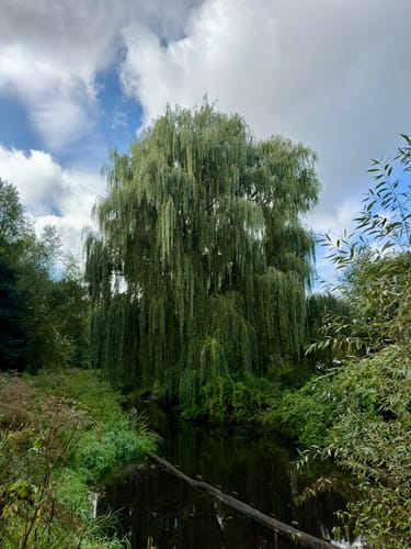 Erpetal Wanderweg