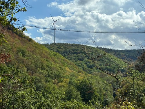 Geierlayschleife (Premiumwanderweg)