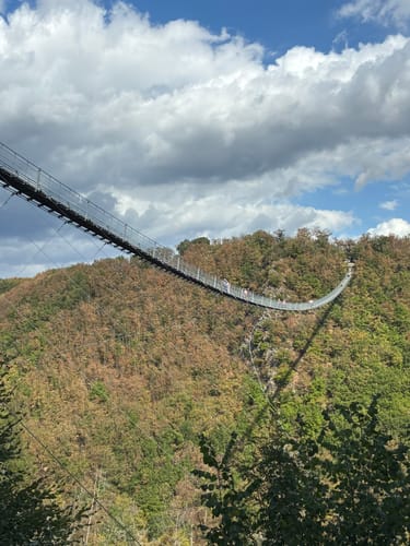 Geierlayschleife (Premiumwanderweg)