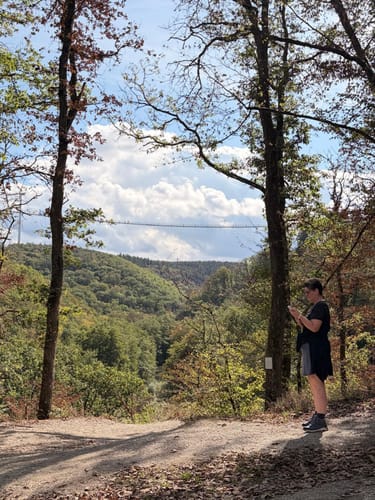 Geierlayschleife (Premiumwanderweg)