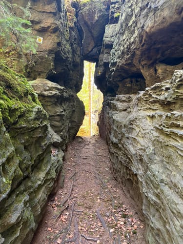 Forststeig