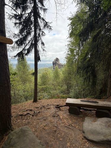 Forststeig