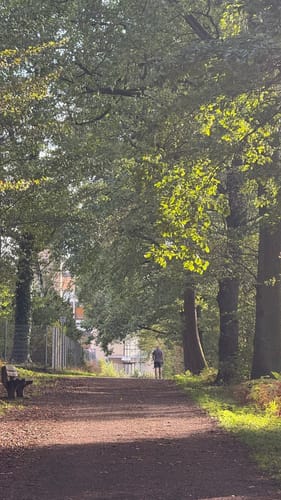 Von der Burg Niederpeis zu Schloss Birlinghoven