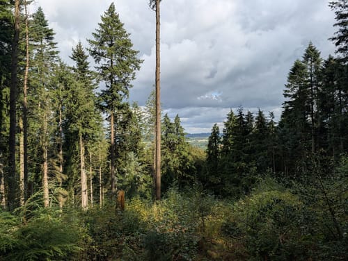 Von Brochterbeck zur Burg Tecklenburg