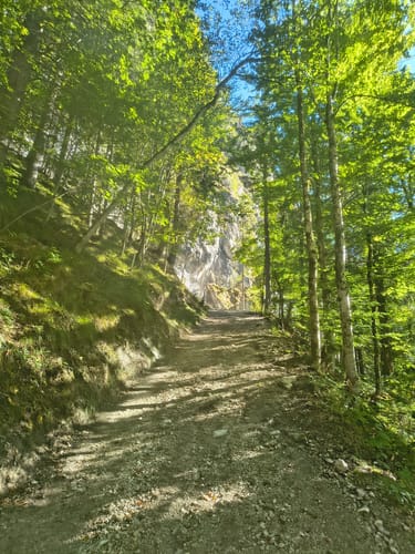 Königssee - Grünstein Rundwanderung
