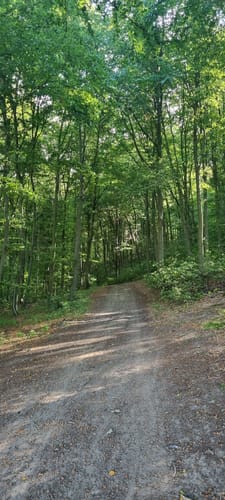 Benther Berg und Bergschänke