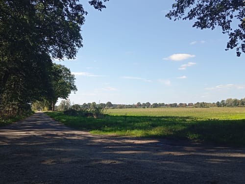 Cewe-Teich und Eisenzeithaus ab Burgdorf