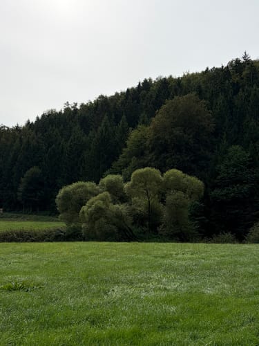 Jurasteig Etappe 11: Holnstein - Dietfurt