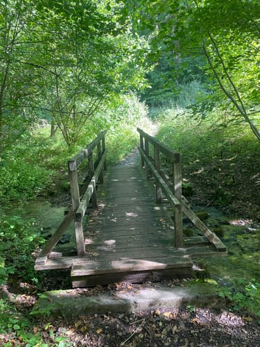 Schwingbogen-Runde (Muggendorfer Rundweg)