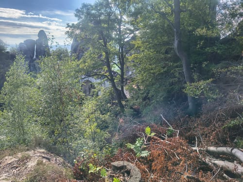 Lohmen: Über die Schwedenlöcher nach Kurort Rathen zur Bastei [CLOSED]