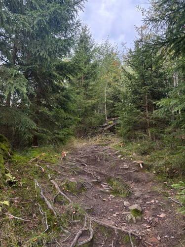 Kötztinger Hütte