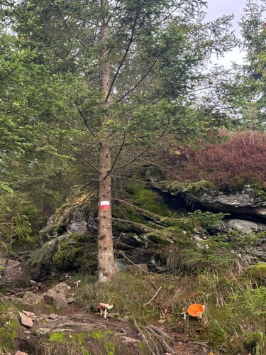 Kötztinger Hütte