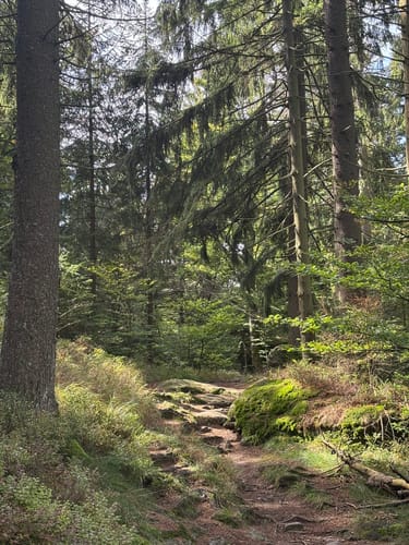 Kötztinger Hütte