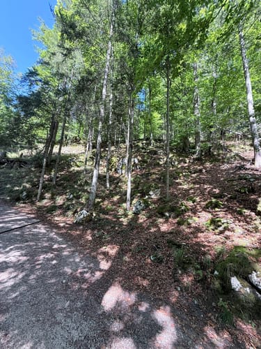 Malerwinkel Rundweg