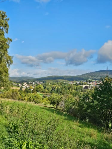 Lahnwanderweg Etappe 10: Rodheim-Bieber - Wetzlar