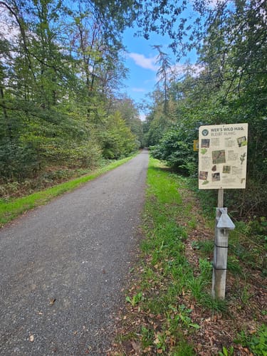 Lahnwanderweg Etappe 10: Rodheim-Bieber - Wetzlar