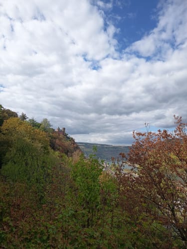 RheinBurgenWeg Etappe 11: Oberwesel - Bacharach